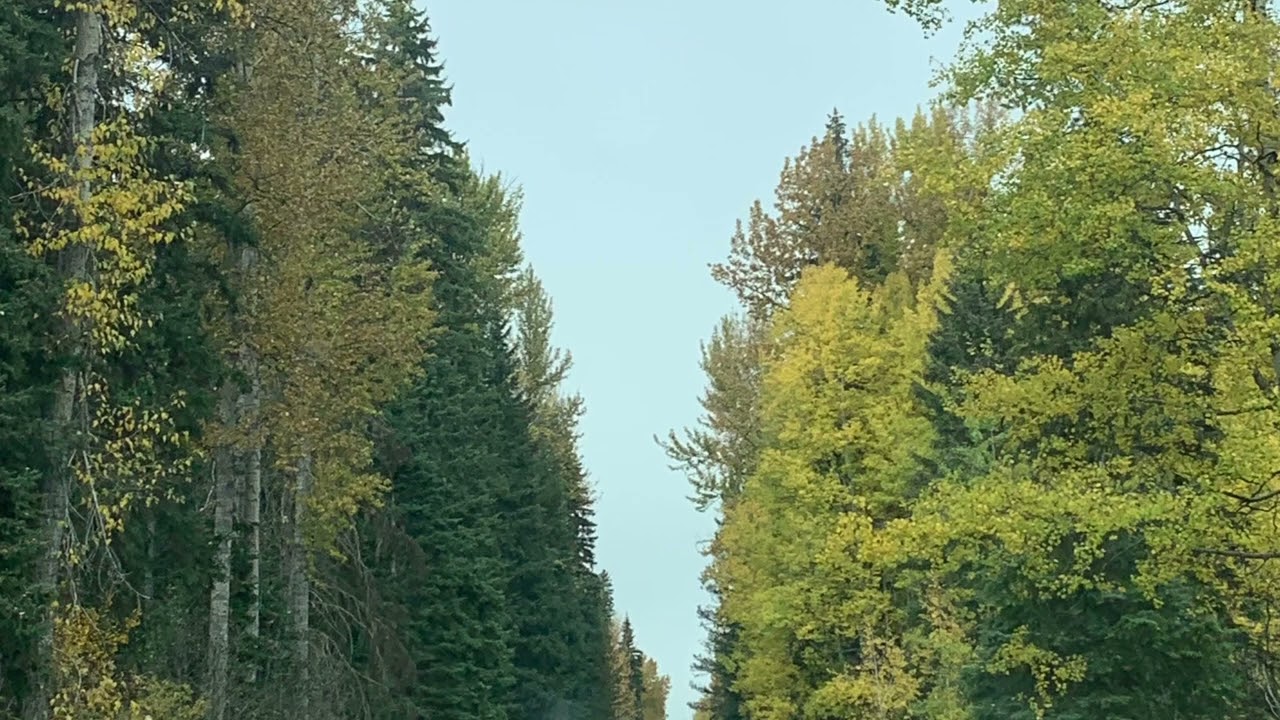 Glacier National Park 