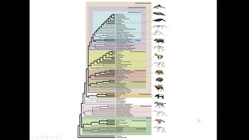 Introduction to computational trees and tree terminology - Data Structures
