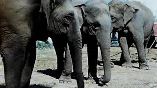 Buried treasures episode 7 building a bridge and stanley park in
winter