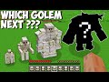 I FOUND THE RAREST IRON GOLEM in Minecraft ! WHICH GOLEM NEXT ???