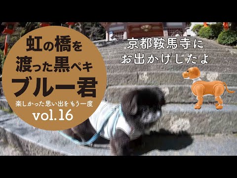 海外最新 コーギーの虹の橋を架ける大工さん アート/写真 - www