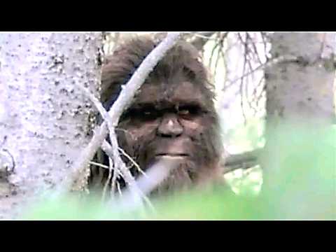 Unknown Creatures Caught on Trail Camera That Should Not Exist