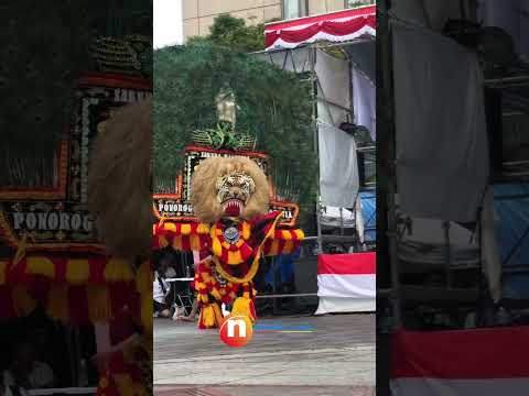 Maung🦁 Reog menggemparkan Chiba di #indonesiajapanfestival #indonesiadijepang #chiba #japanfestival