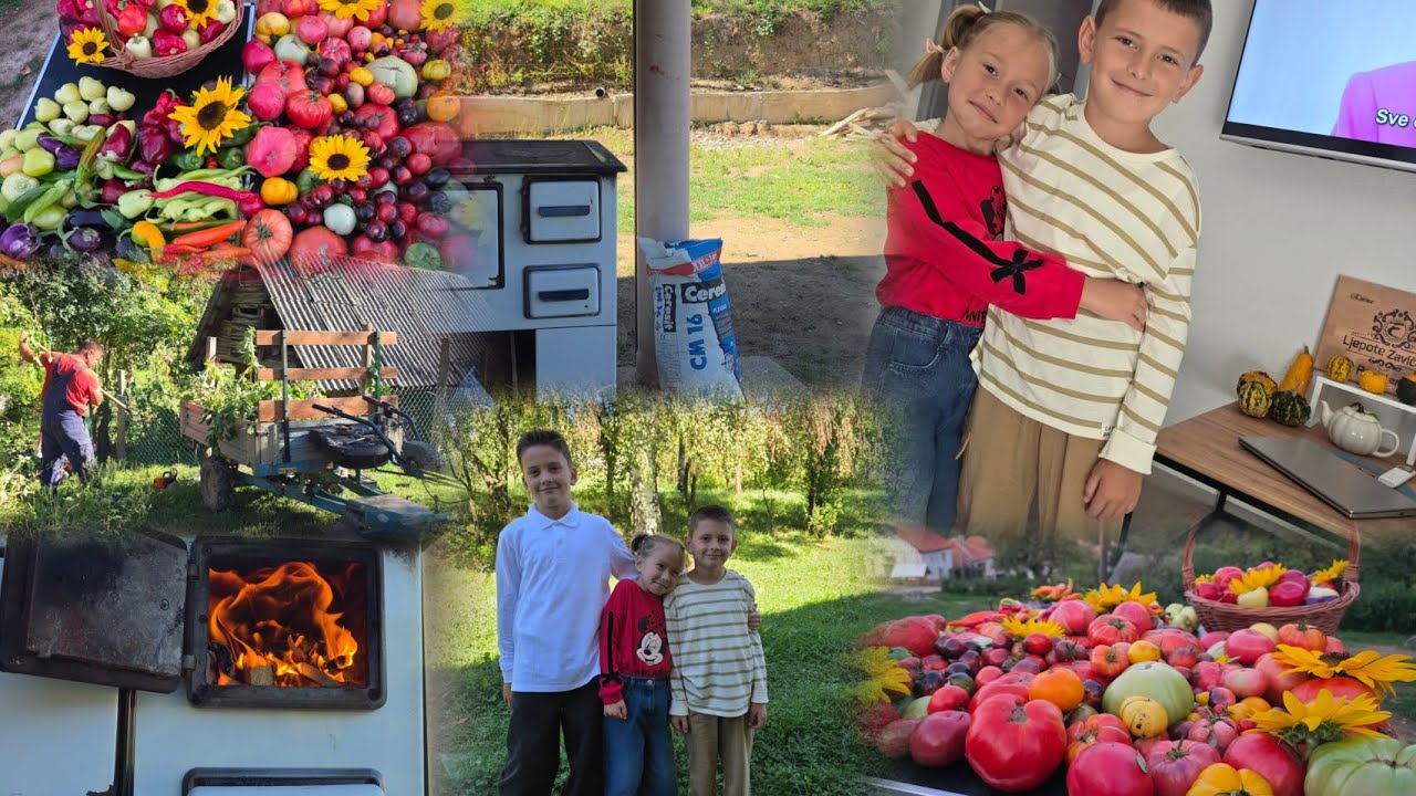 Ne sviđa mu se kolač,a jede kašikom 😂,radne obaveze,škola,berba,posla na sve strane 