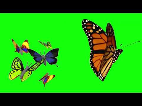 green screen effects adobe premiere pro fire electric particle after fx water world royalty free