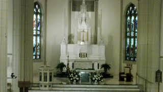 June 30, 2026 - Daily Mass