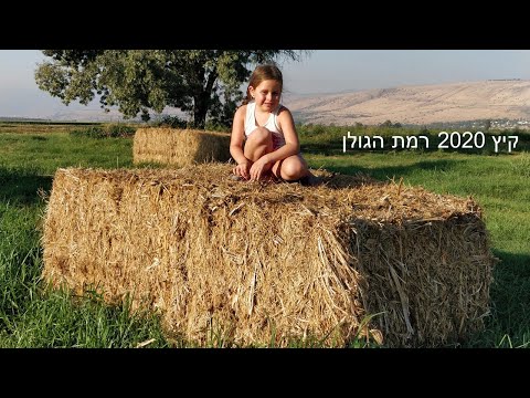 חופשת קיץ בצפון עם חברים 2020