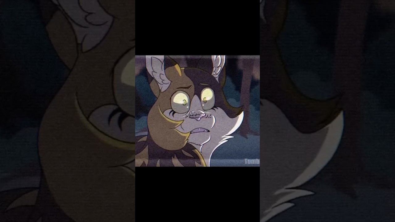 Рыжик крадёт котят (ау) | Коты-воители