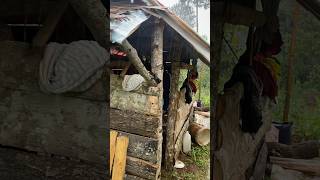 Deep Forest Isolation: Why I Love This Simple Hut #RainSounds #CozyVibes #SimpleLife #JungleAmbience