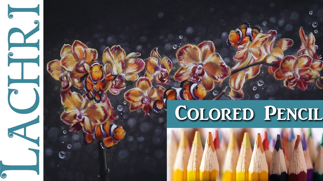 ⁣Blending Colored Pencil & Powder Blender Orchids & Clownfish Painting Tutorial  -  Lachri