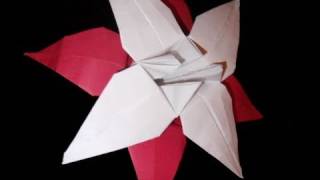 Origami Lily