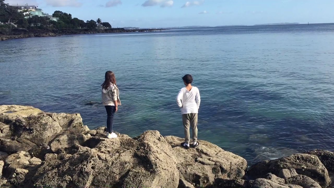 NEON JUPITER - Shooting Star (Official 2020)