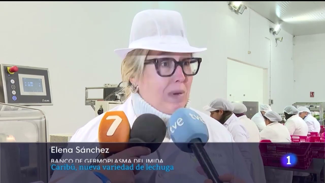 Noticias Murcia 01 03 2023   RTVE GHMV