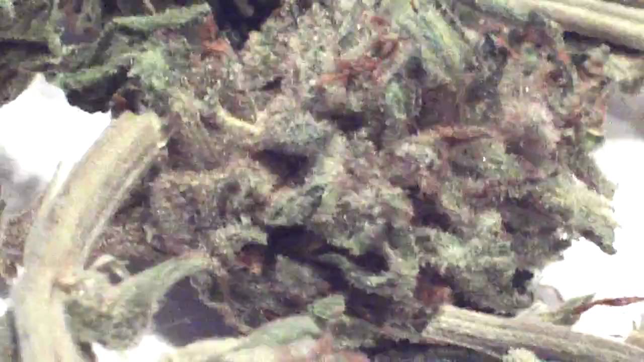 pinewarp and a couple others