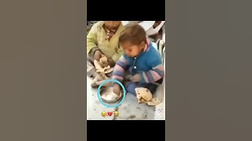 القارئ رزكار الكردي - سورة الفجر