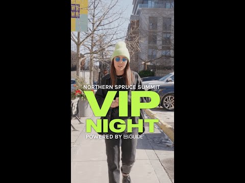Vad är Spinju VIP-programmet?