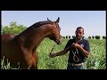 Tierra y Mar | El Guadalquivir, caballos anglo-árabes y recuperación del lince