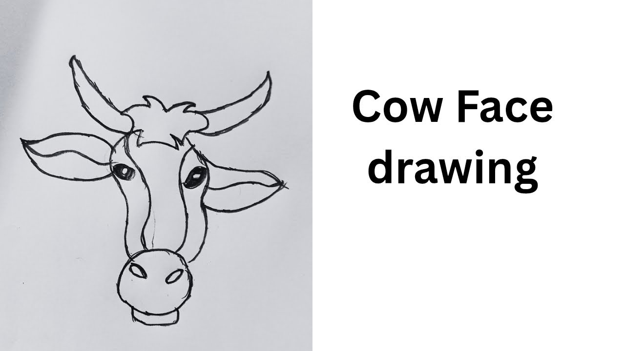 How to draw a simple cow face drawing | cow | face | drawing | step by step