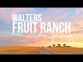 Walters&#39; Fruit Ranch - Harvest Hosts Camping - a Drivin&#39; &amp; Vibin&#39; Travel Vlog