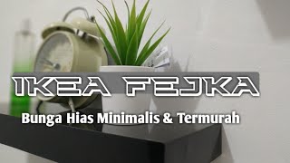 IKEA FEJKA |Tanaman Hias Minimalis dan Murah
