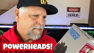 My Top 5 Tips for Getting the Best Powerhead Performance in your Tank! [Plus Bonus Tips!]