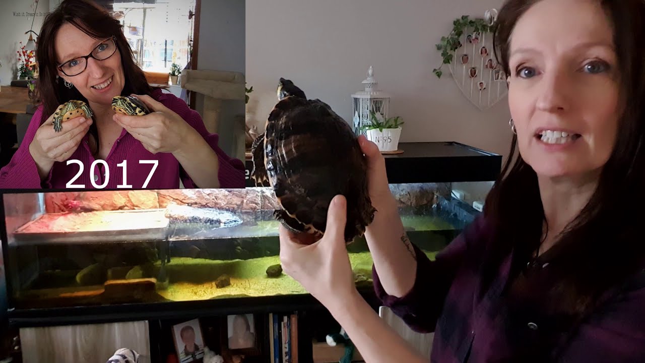 ZO ZWAAR IS SCHILDPAD CLEO!!  #12(Zoo-cember)