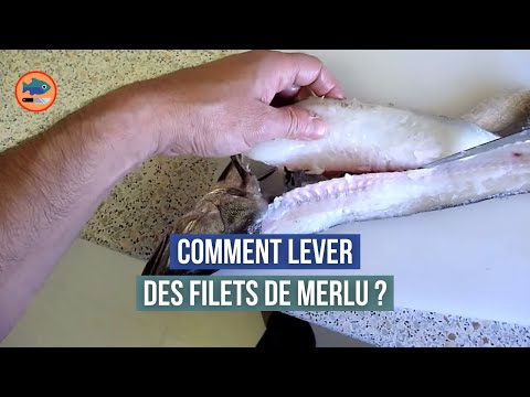 Vidéo: Comment Faire Des Filets De Merlu