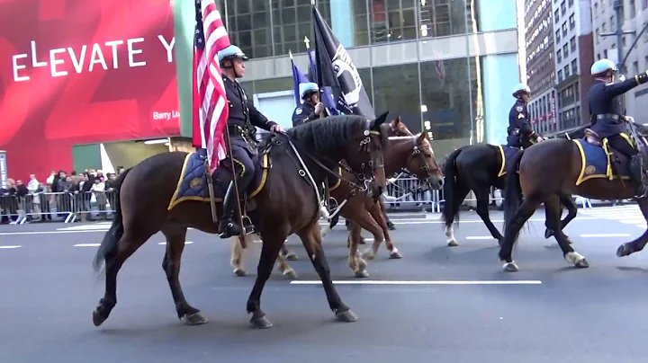 Video#1635 NYC Veterans Parade 2016 Pt 1