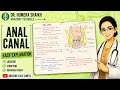 Anal canal anatomy in 7 minutes with all features interior as well as exterior| abdomen and pelvis|