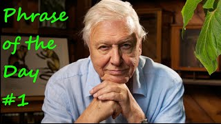 Sir. David Attenborough on Girls who eat carrots ft. Urban Dictionary | Phrase of the day