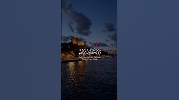 القارئ ياسر الدوسري ((سورة النساء))