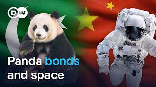 Pakistan–China ties deepen with panda bonds and space | DW News