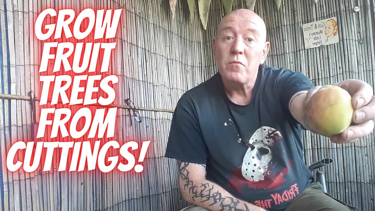 Grow Fruit Trees From Cuttings At Home [Gardening Allotment UK] [Grow Vegetables At Home ]