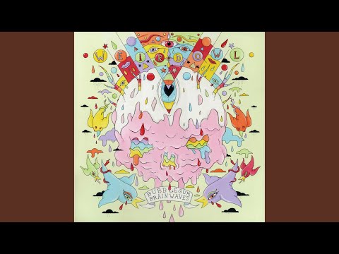 Weird Owl — Invisibility Cloak
