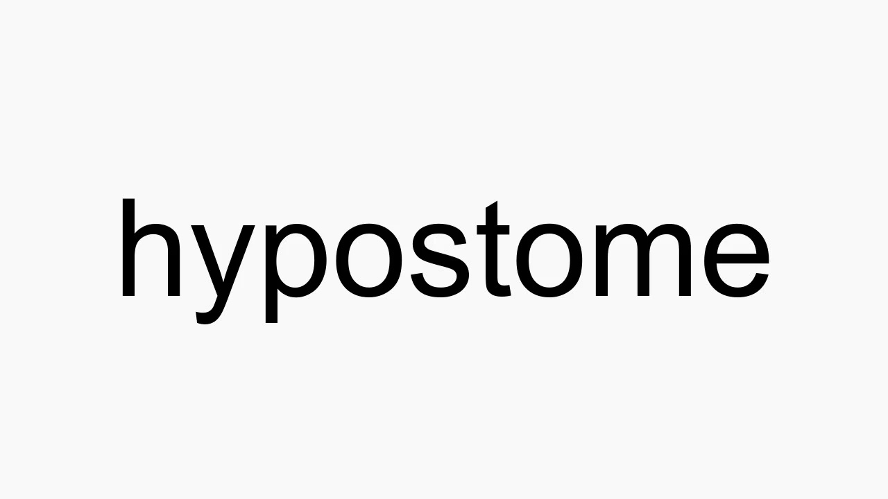 How to pronounce hypostome