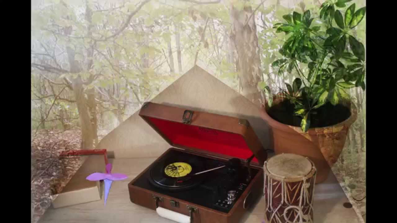 Samh - Shake // Migration Patterns