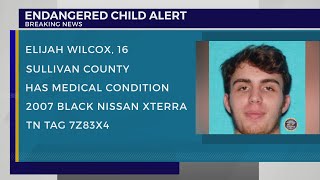 TBI issues Endangered Child Alert for missing 16-year-old Sullivan County boy