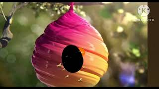 Ctc Beez Logo Remake Speedrun