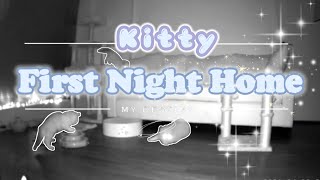 My Ragdoll Kitten's First Night Home by MiyuKitty 550 views 1 year ago 2 minutes, 27 seconds