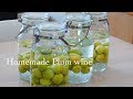 簡単! 美味しい梅酒の作り方　How to make Homemade Japanese Plum wine
