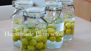 簡単! 美味しい梅酒の作り方　How to make Homemade Japanese Plum wine