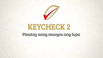 Paano iwasan ang madamo, kuhol, at makatipid sa patubig? - Patag na lupa (PalayCheck: Key Check 02)