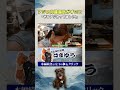 しょうもないダル絡みに付き合ってくれる森さん笑