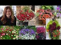 Summer Flower Combination Ideas 🌿 // Garden Answer