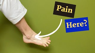 Ankle Sprains In Bjj The Ultimate Guide