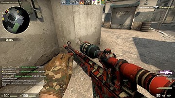 The last round with G3SG1 | The Executioner...