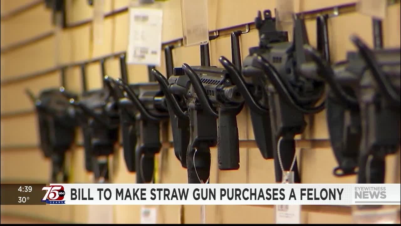 Debate over bill for harsher straw purchase penalties turns political ...