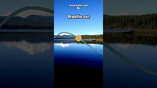 Breathing to Balance Your Nervous System: 4-6 Ratio, 5.5 Breaths Per Minute