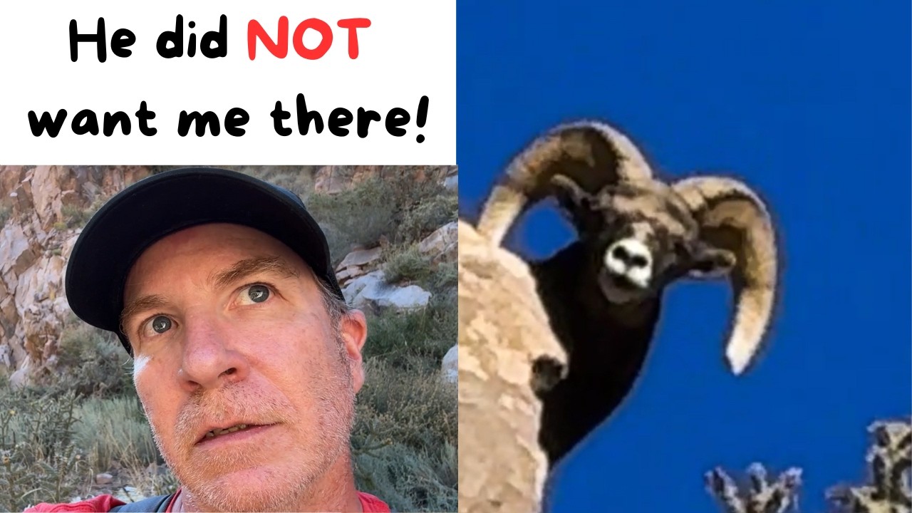 Canyon of Gold: A Hidden Trout Wilderness Haven in Colorado’s Foothills