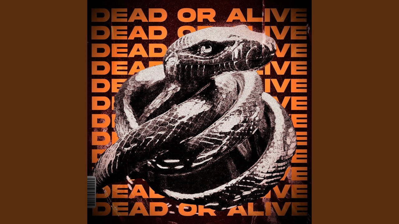 Dead Or Alive (Slowed)